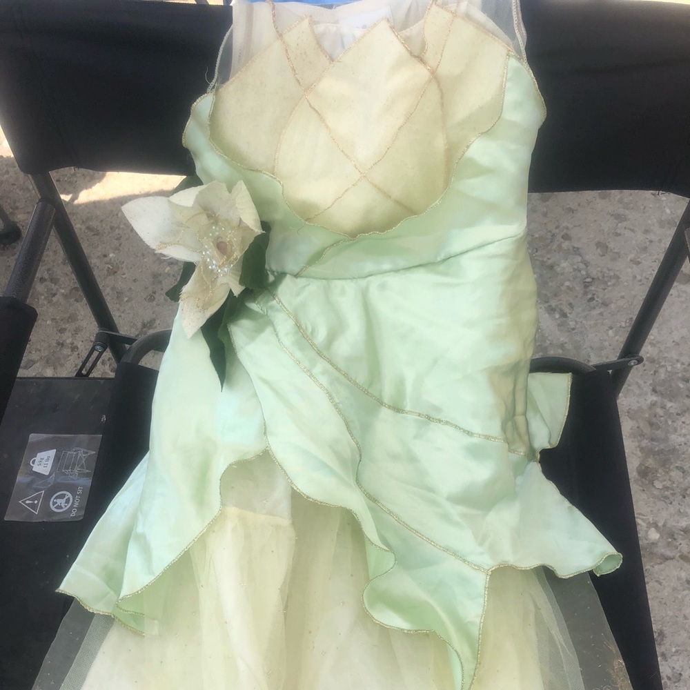 Princess Tiana costume
